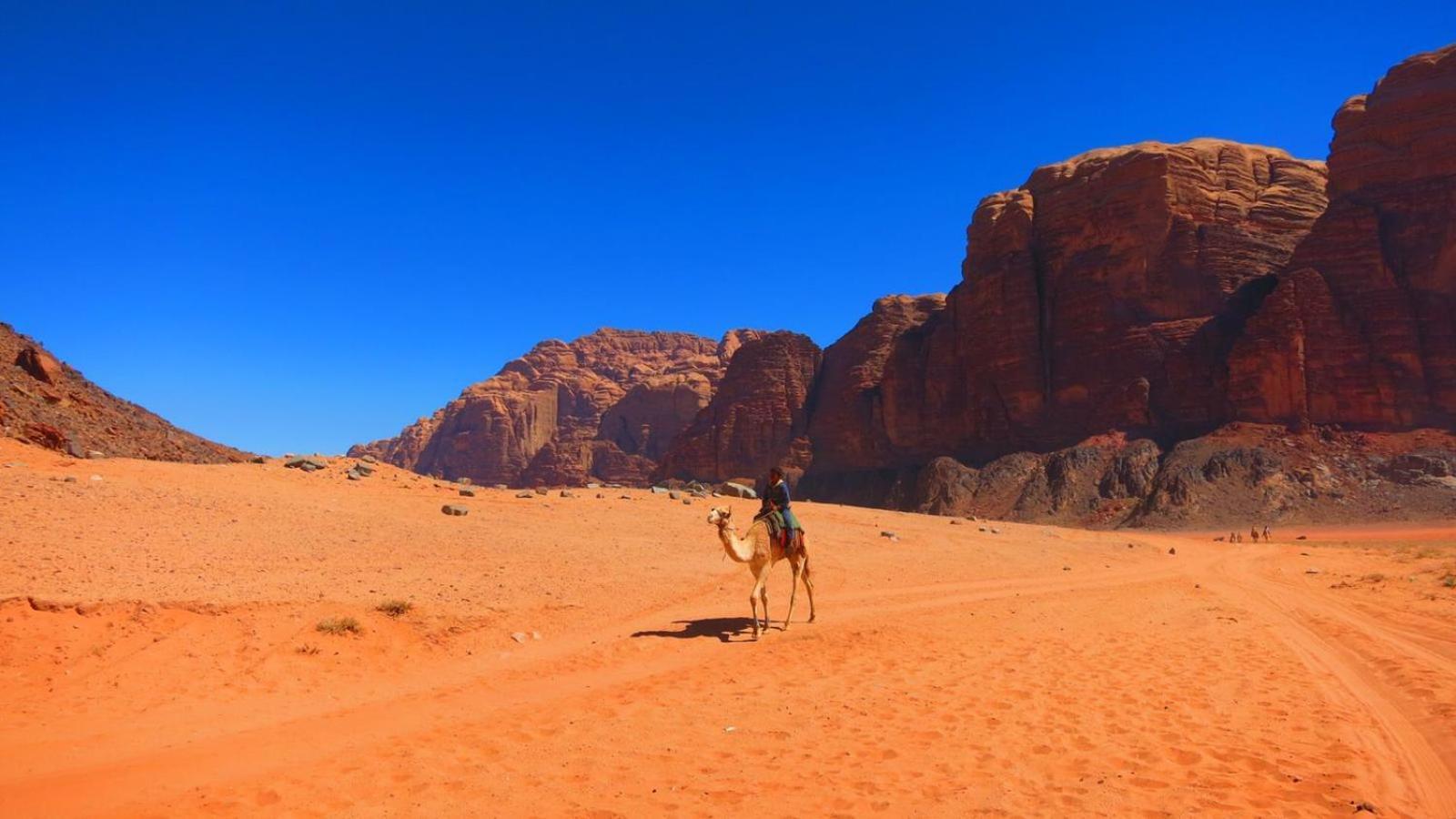 Wadi Rum Magic Nature Camp エクステリア 写真
