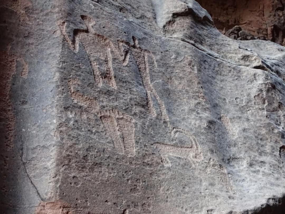 Wadi Rum Magic Nature Camp エクステリア 写真