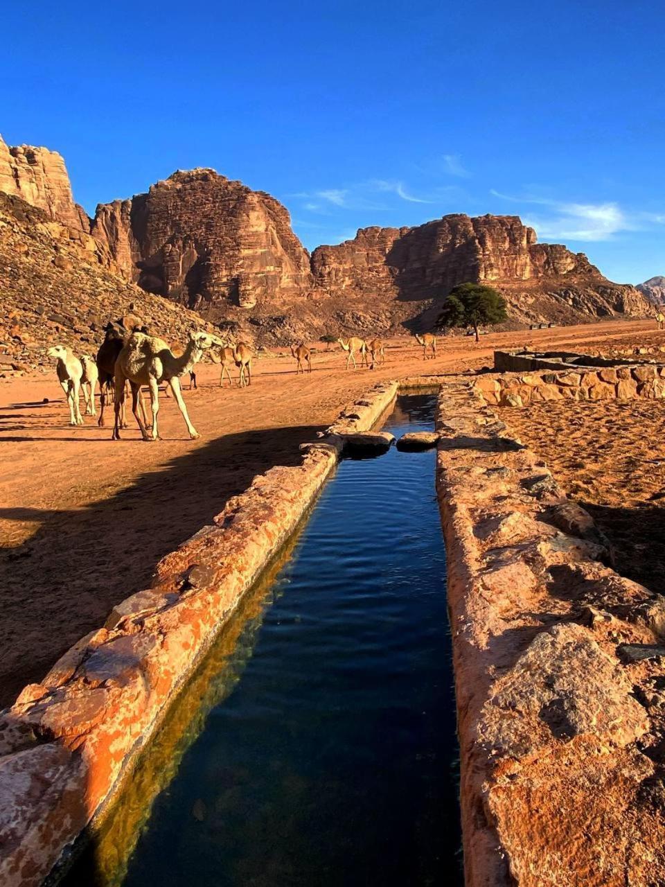 Wadi Rum Magic Nature Camp エクステリア 写真